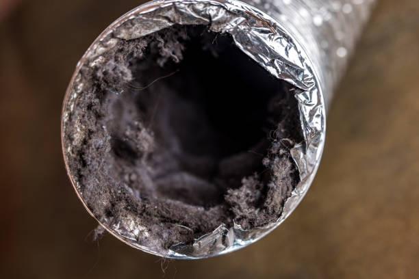 Best HVAC System Cleaning  in Vinton, LA